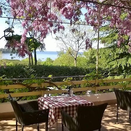 Múggia Hotel Ristorante Sole מראה חיצוני תמונה